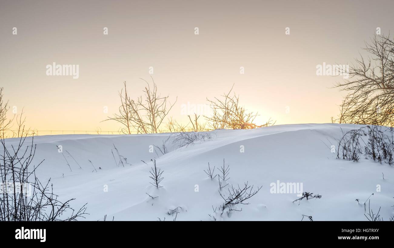 Coucher du soleil sur la neige en hiver arbres neige froid lueur orange Banque D'Images