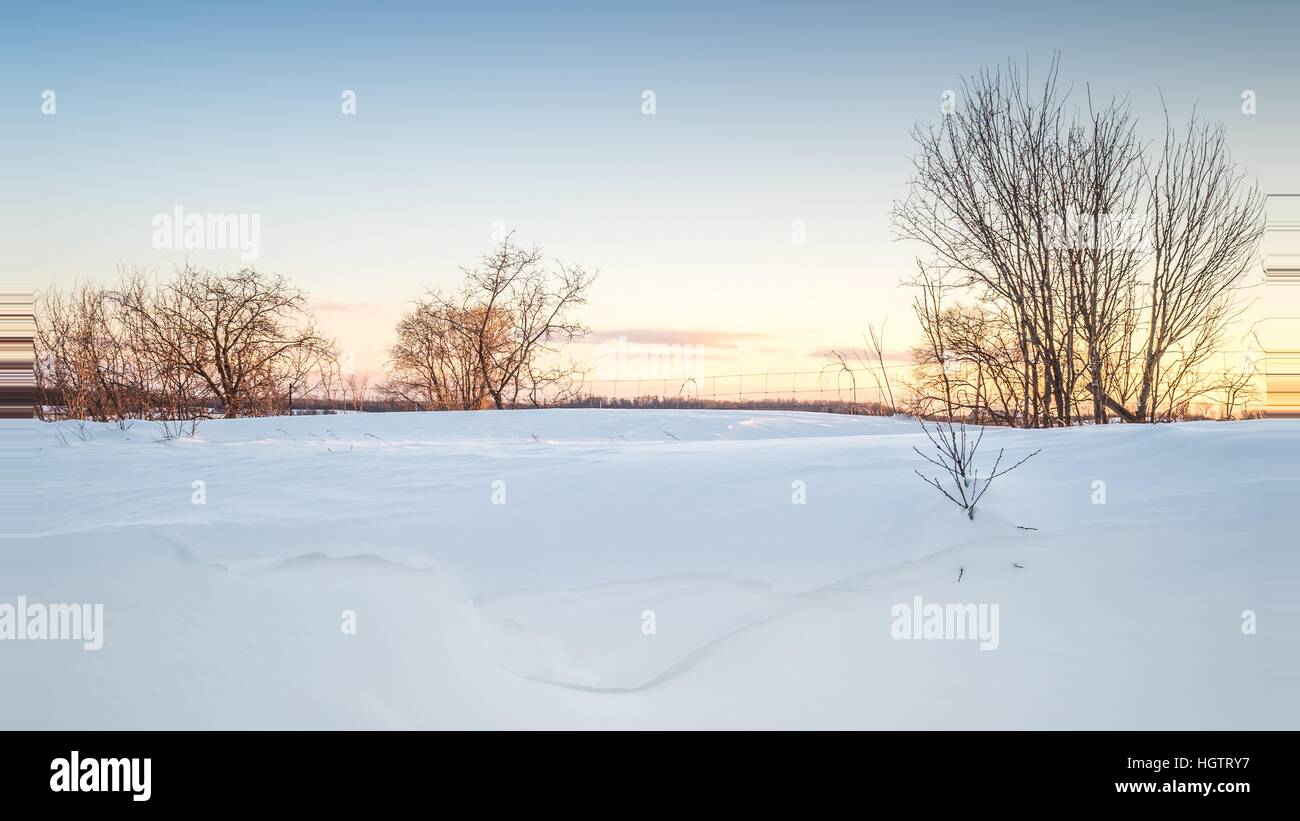 Coucher du soleil sur la neige en hiver arbres neige froid lueur orange Banque D'Images