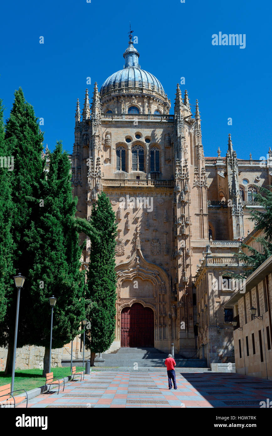 Kathedrale von Salamanca, Spanien, Europa, Catedral Vieja de Santa Maria del Asedio Banque D'Images