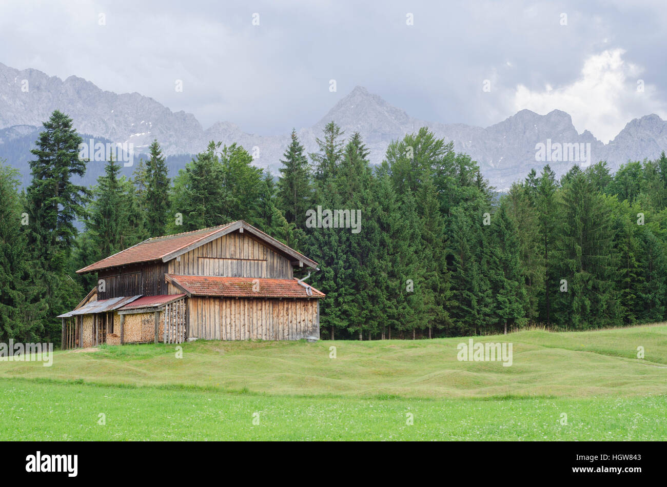Colline caractéristique meadows, Werdenfelser Land, Alpes, Haute-Bavière, Garmisch-Partenkirchen, Karwendel, Kruen, Mittenwald, Allemagne, Krün, Krun Banque D'Images