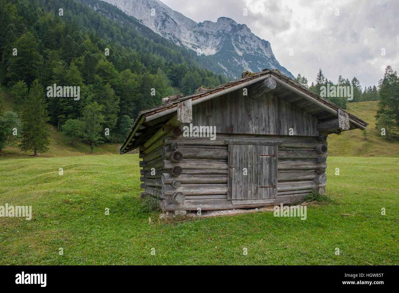 Colline caractéristique meadows, Werdenfelser Land, Alpes, Haute-Bavière, Garmisch-Partenkirchen, Karwendel, Ferchensee, Mittenwald, Allemagne Banque D'Images
