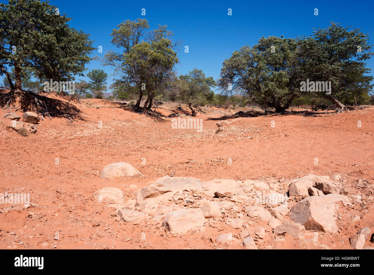 Bien sûr à sec d'une rivière, près de Kaokoveld C43, la Namibie Banque D'Images