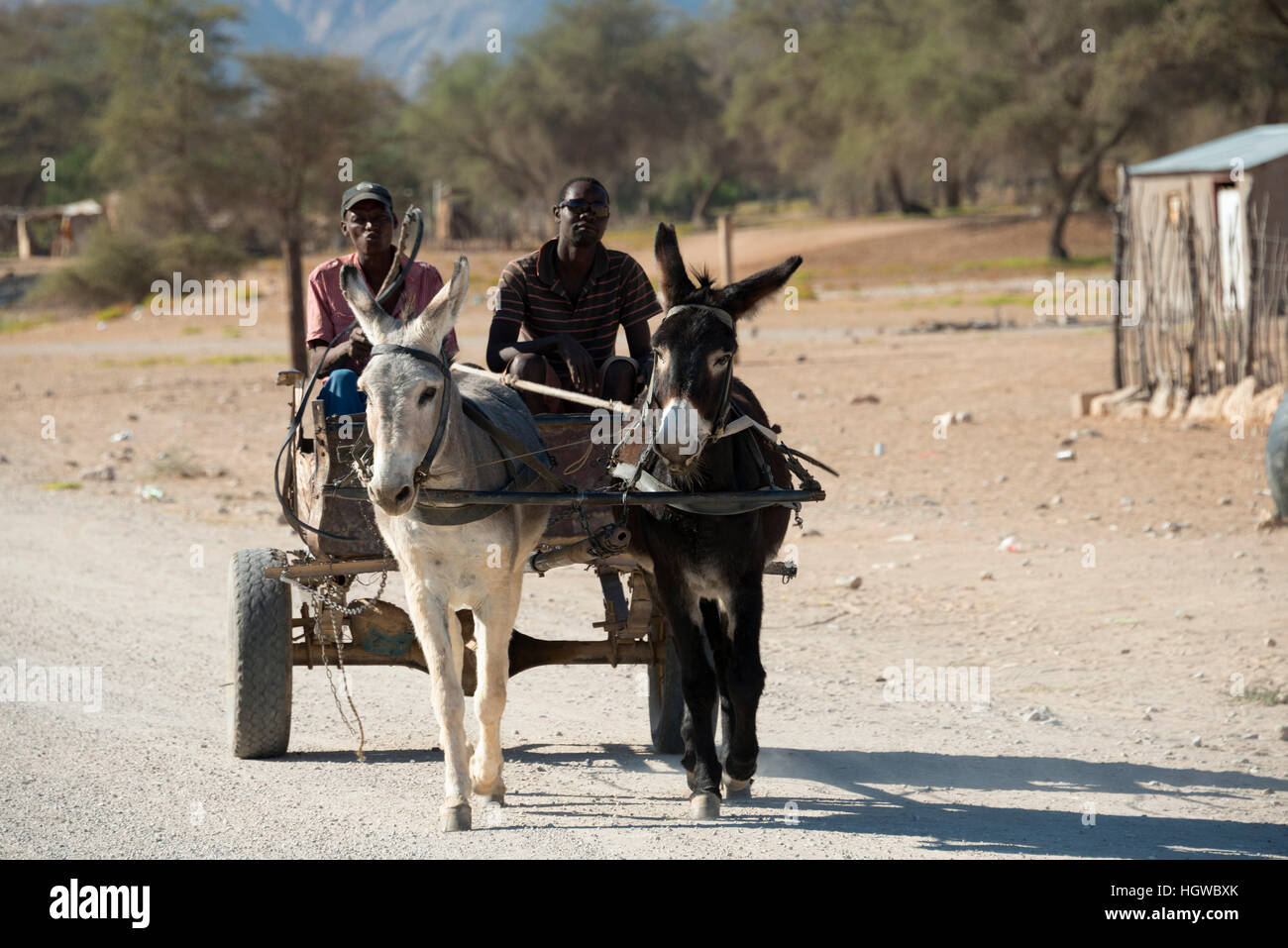 Charrette à âne, Sesfontein, Namibie Banque D'Images
