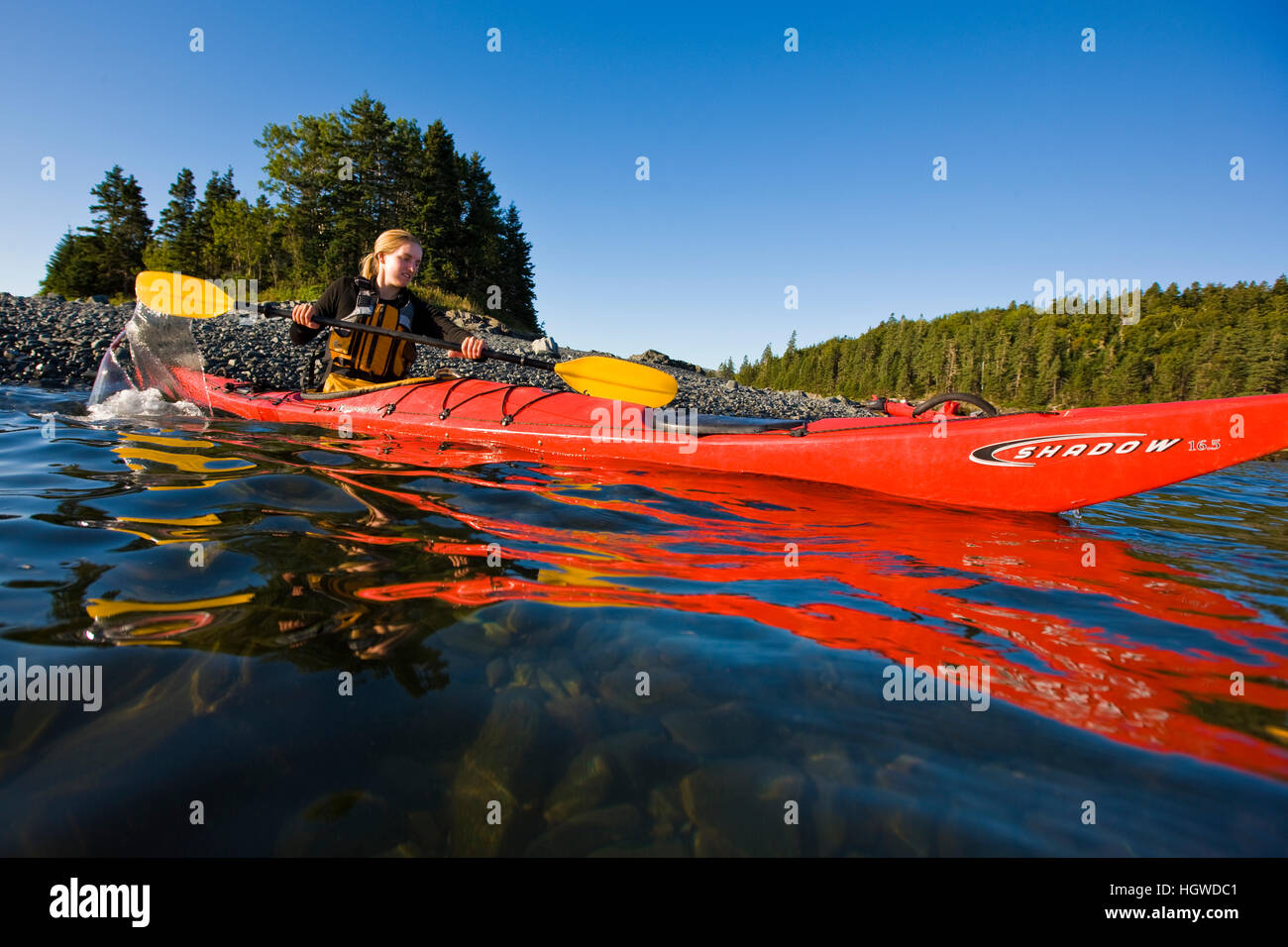 Une femme kayak de mer près de la harde de îles dans le centre de l'Acadia National Park. La baie Frenchman. Bar Harbor. Touche de rhum. Banque D'Images