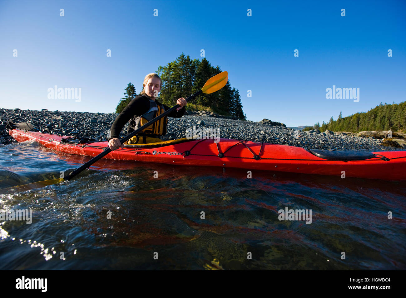 Une femme kayak de mer près de la harde de îles dans le centre de l'Acadia National Park. La baie Frenchman. Bar Harbor. Touche de rhum. Banque D'Images