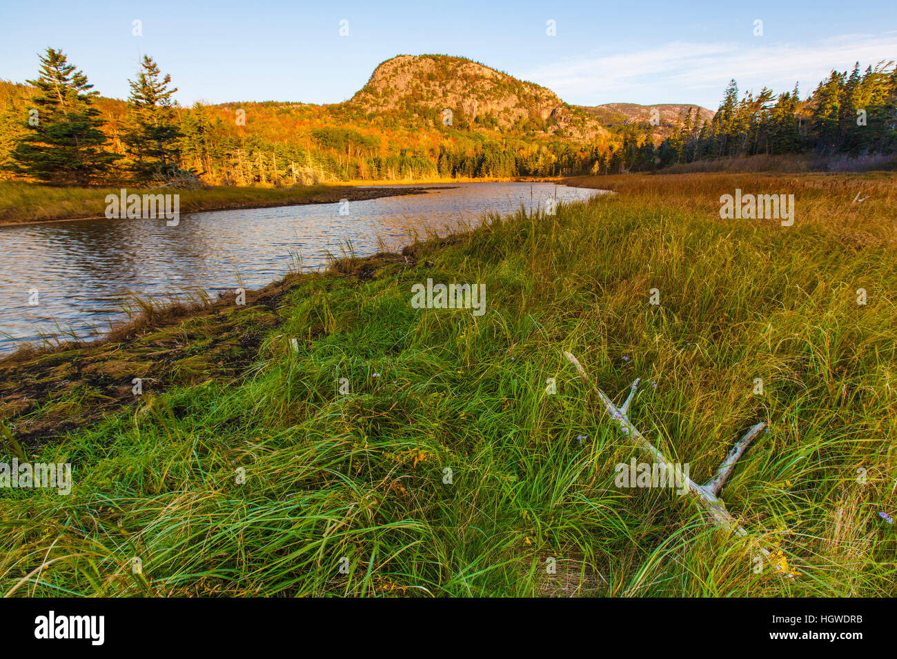 Herbes de dunes et d'un raz-de-plomb du ruisseau 'o' dans la ruche du Maine Acadia National Park. Banque D'Images
