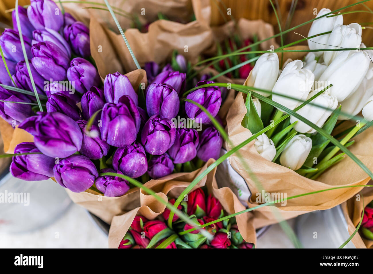 Violet, Rouge et blanc libre de bouquets de tulipes enveloppé dans du papier brun Banque D'Images