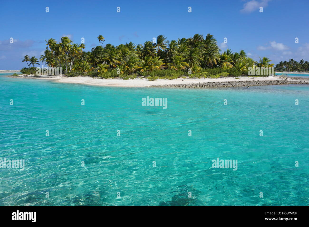 L'îlot tropical avec des cocotiers et l'eau turquoise, de l'atoll de Tikehau, archipel des Tuamotu, en Polynésie française, l'océan Pacifique sud Banque D'Images