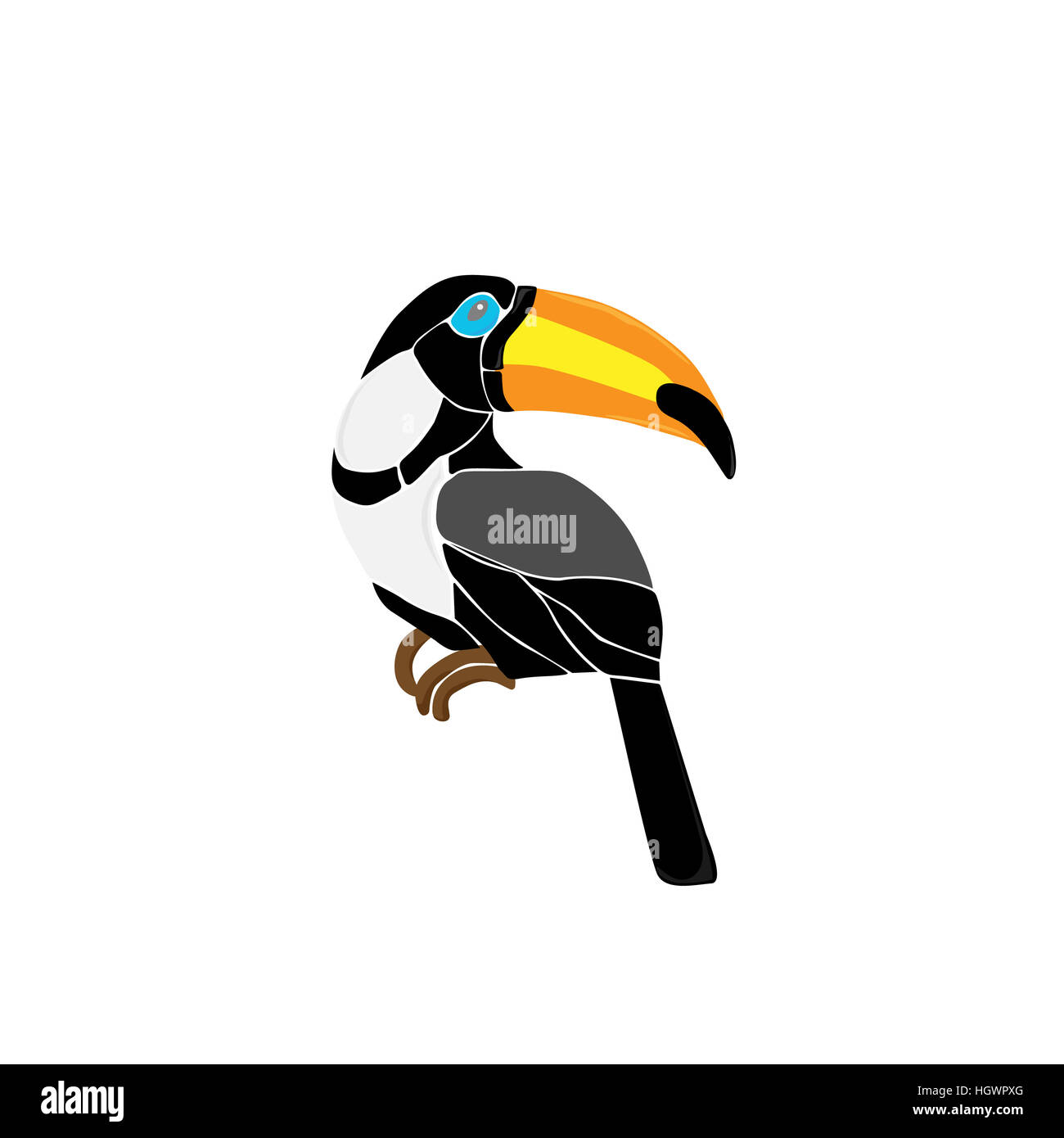 Hand drawn toucan coin sur une branche d'arbre, colorée de style croquis illustration isolé sur fond blanc. Dessin à la main de toucan, scientifique ornit Banque D'Images