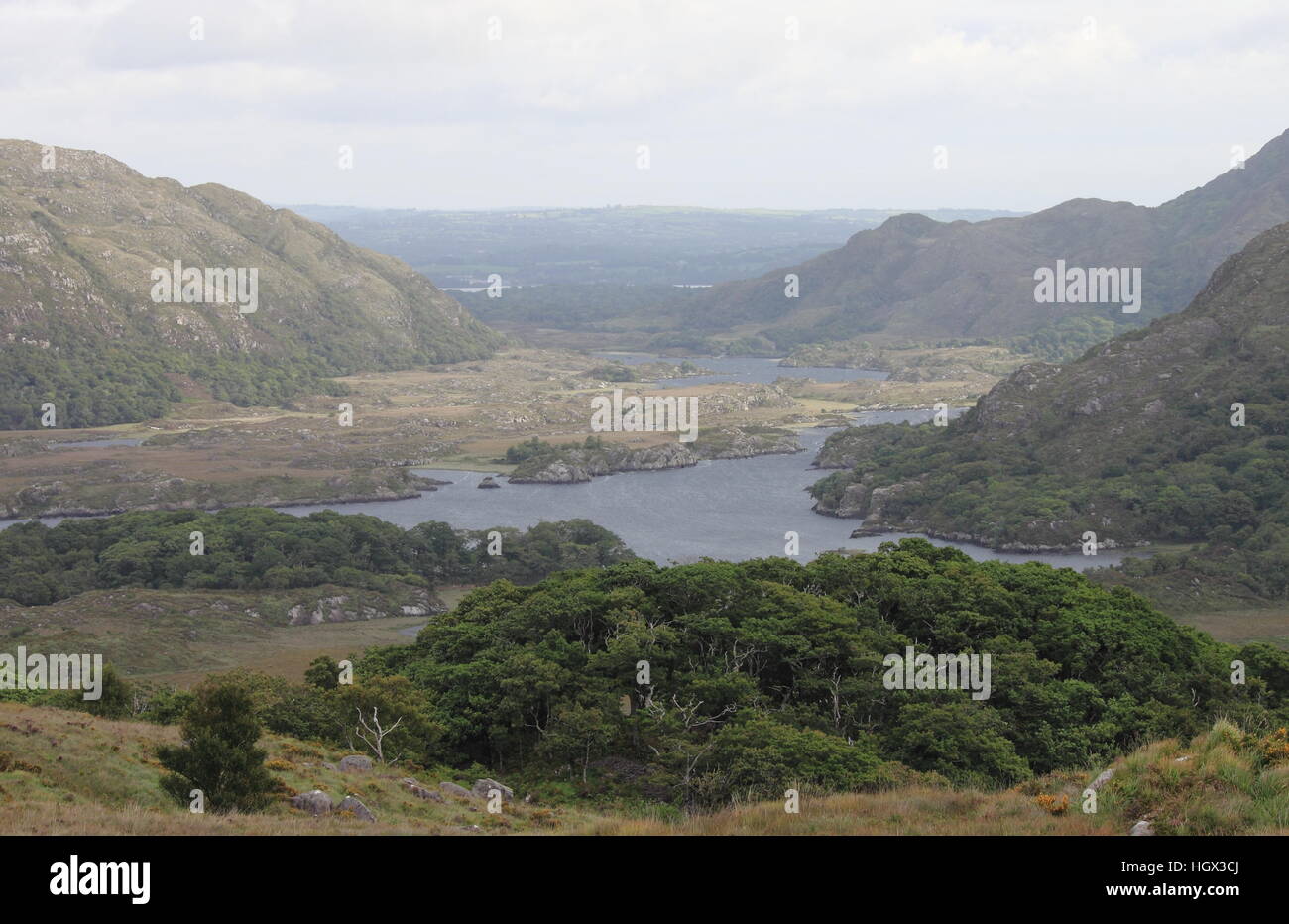 Le Parc National de Killarney. La région de Lough, Irlande Banque D'Images