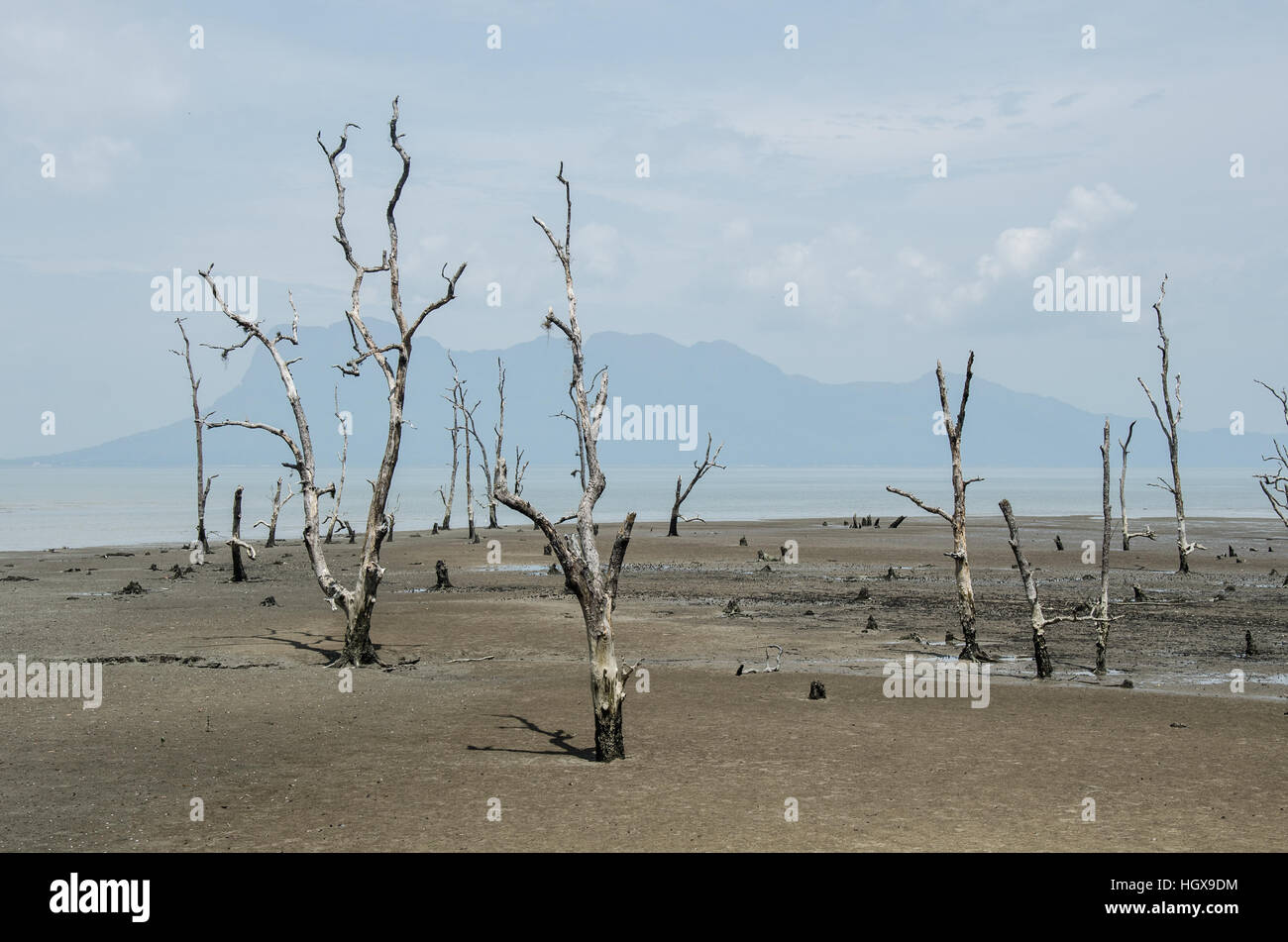 Parc national de Bako Beach Banque D'Images
