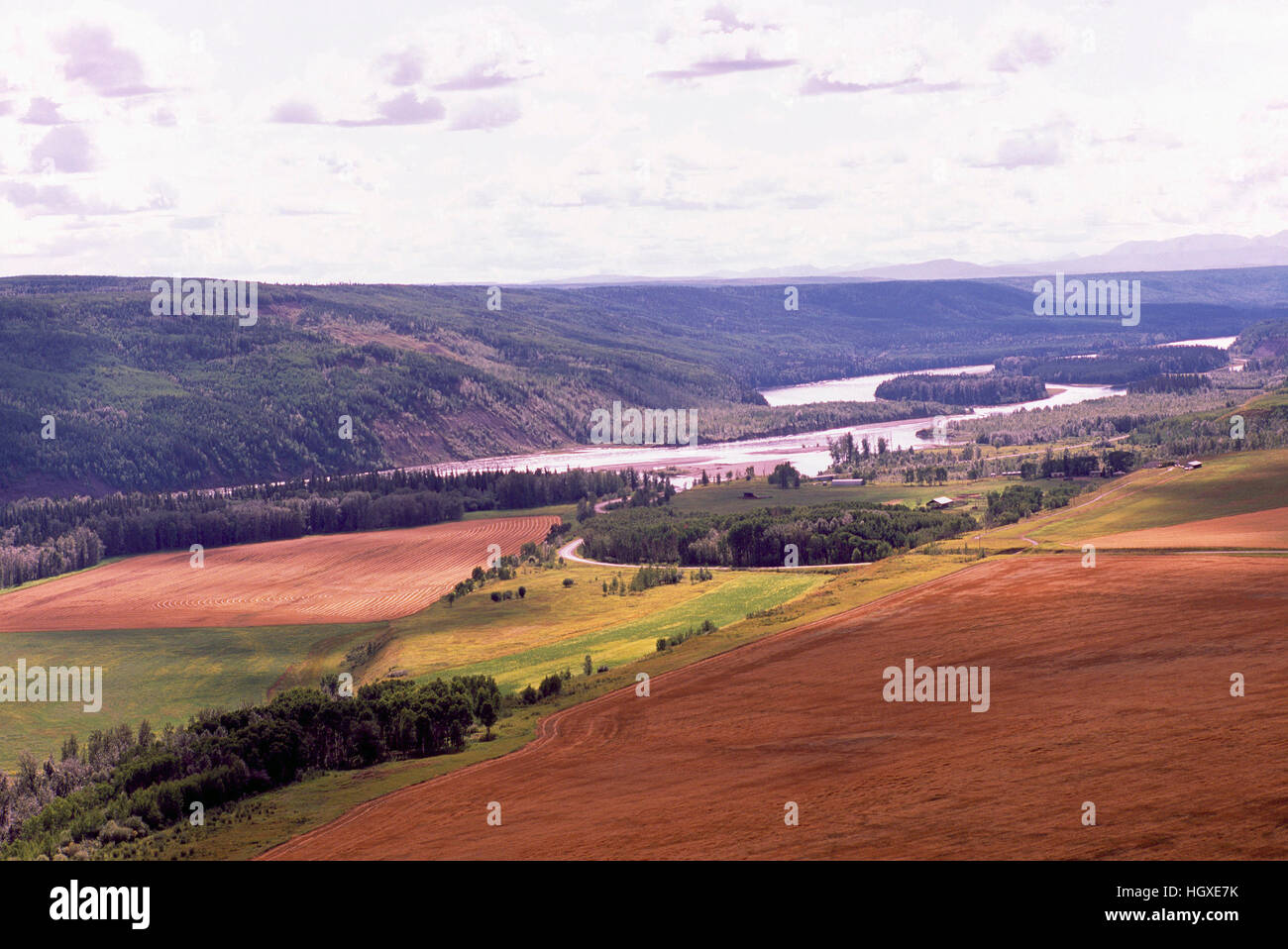 Vallée de la rivière de la paix et des terres agricoles / champs de céréales au moment de la récolte, près de Fort St John, le nord de la Colombie-Britannique, Canada Banque D'Images