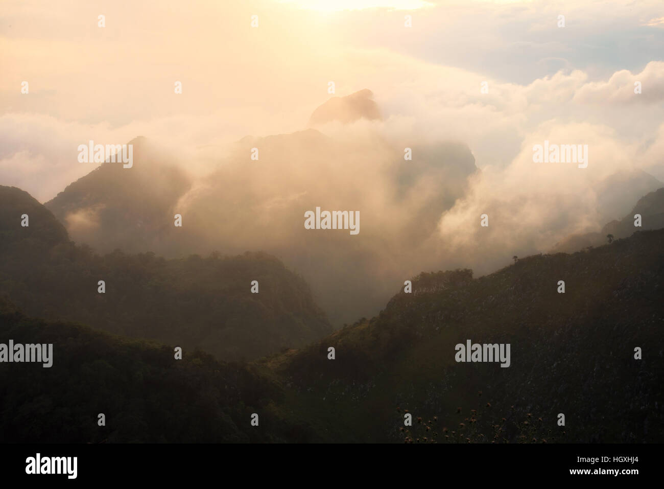Paysage de montagne Chiang Dao avec cloud dans Chiang Mai, Thaïlande. Banque D'Images