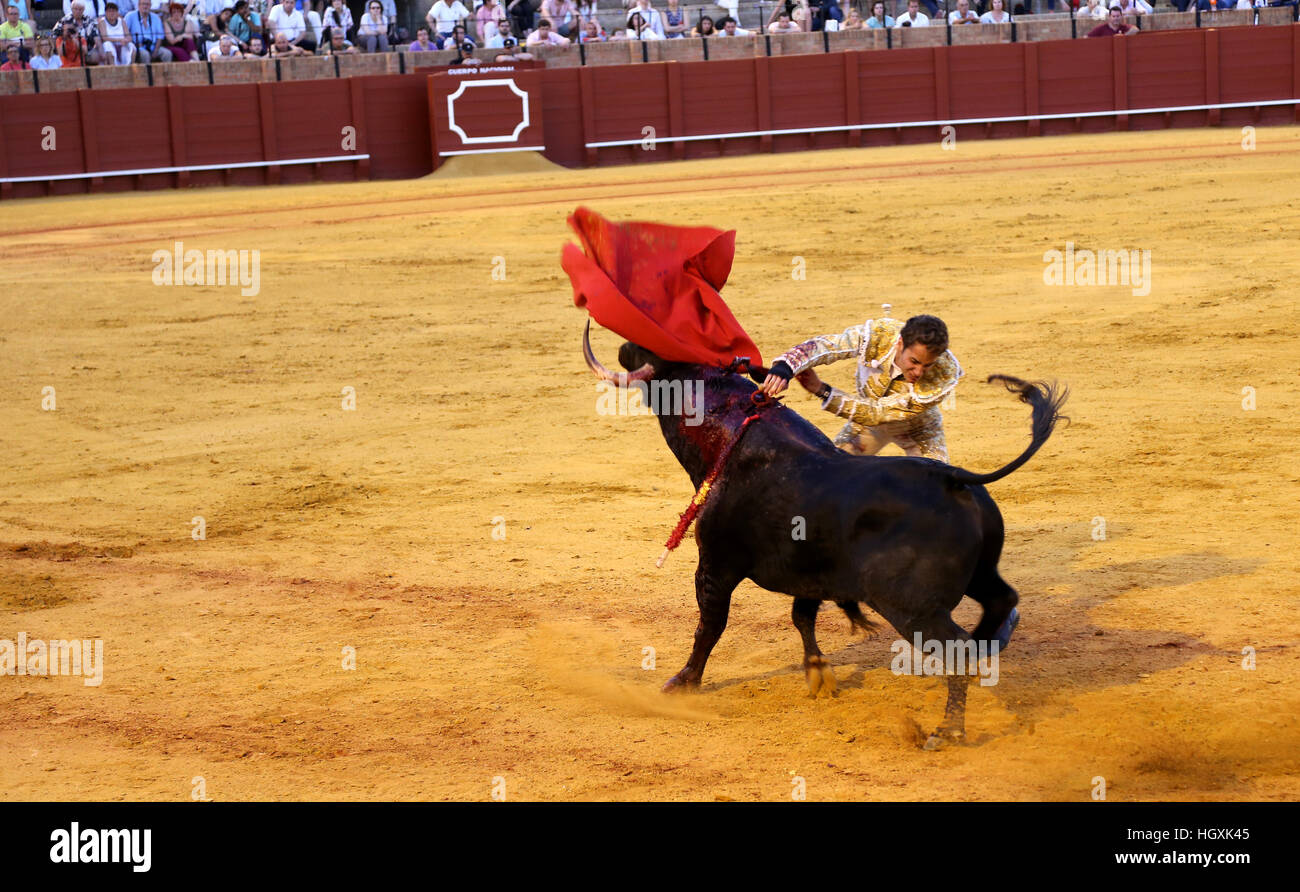 La tauromachie en Arène Espagnole Banque D'Images La tauromachie en Arène Espagnole Banque D'Images