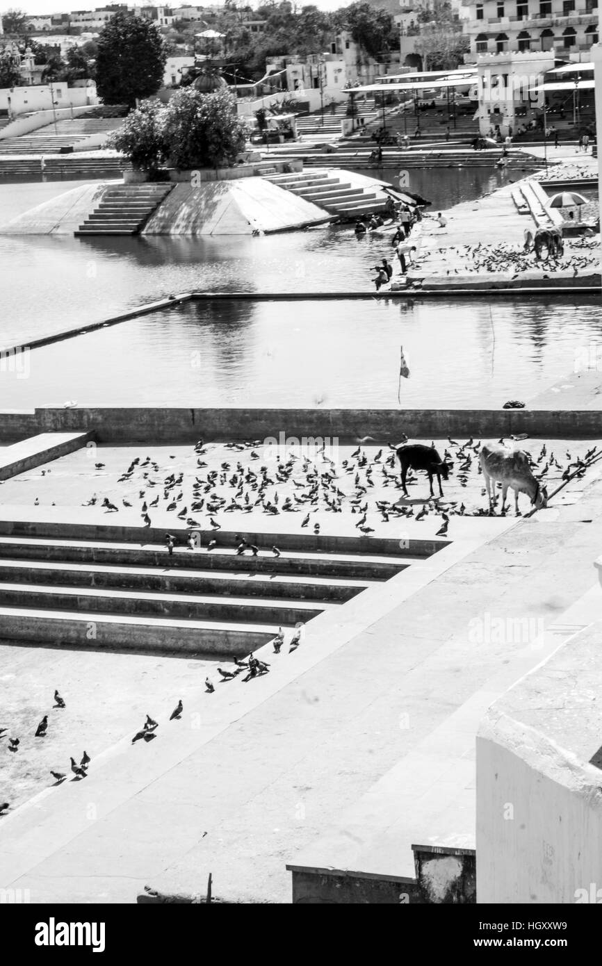 Pushkar Banque D'Images Pushkar Banque D'Images