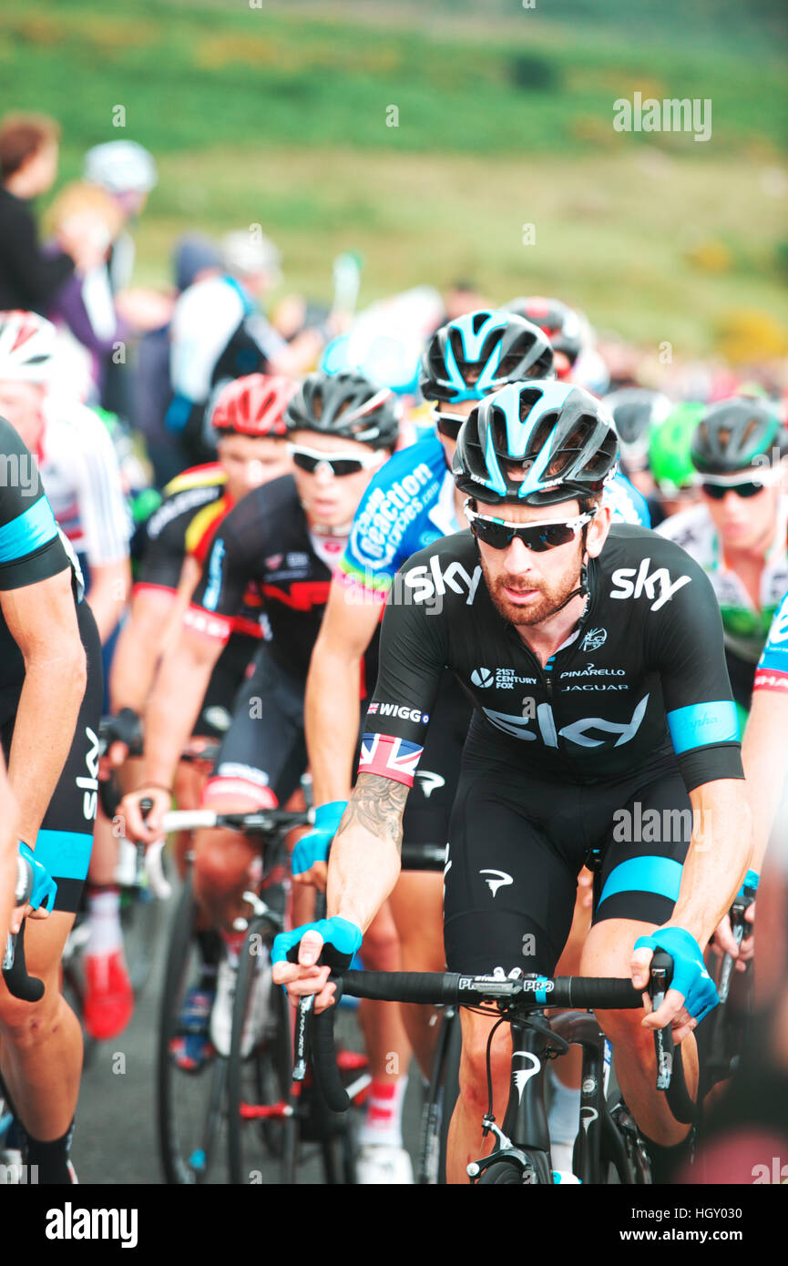 L'équipe sky rider Sir Bradley Wiggins racing pour Sky dans le Tour de Grande-Bretagne 2014 de l'avant le peloton Banque D'Images