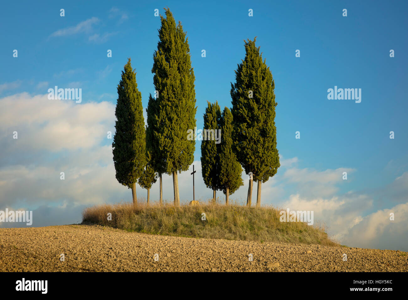 Cercle d'arbres entoure une Croix du souvenir sur une colline à l'extérieur de San Quirico d'Orcia, Toscane, Italie Banque D'Images