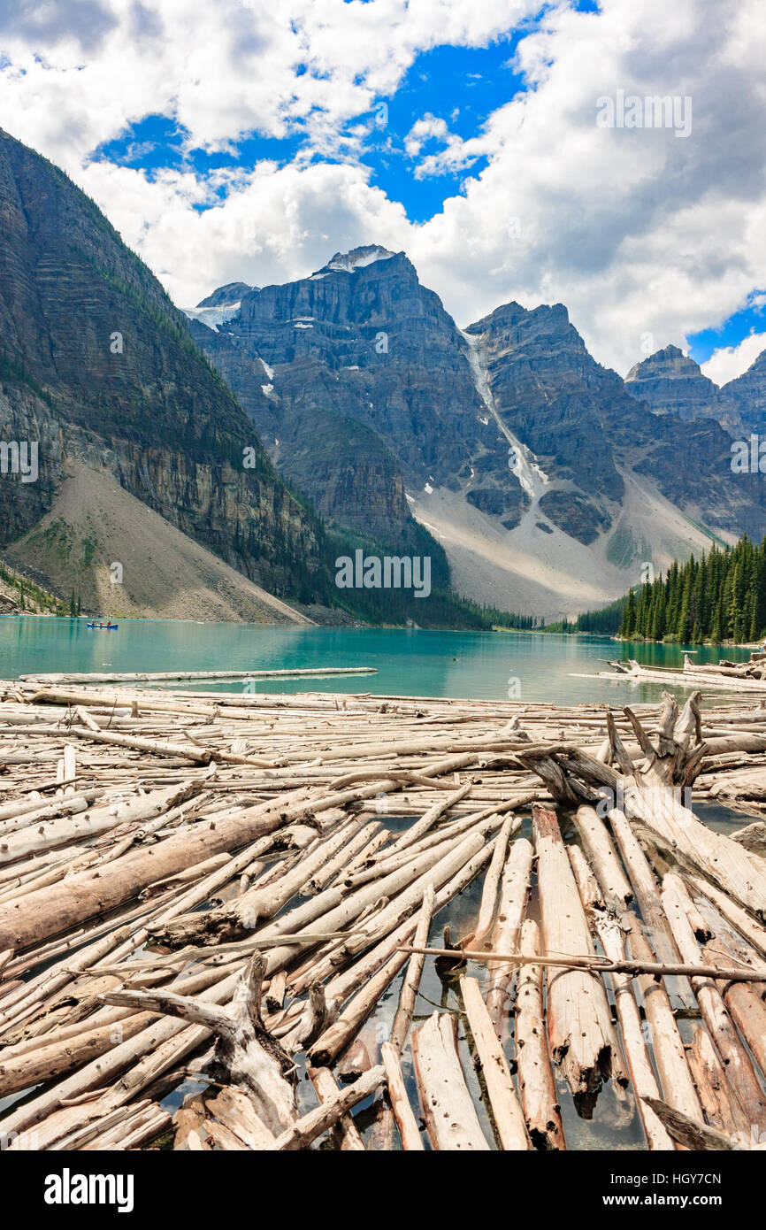 Le lac glaciaire avec rondins flottants dans le parc national de Banff, Alberta, Canada Banque D'Images