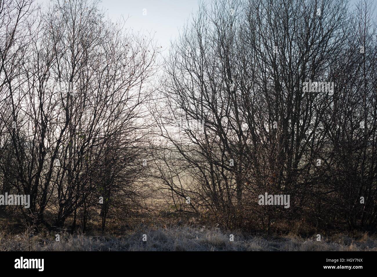 Nature de l'automne, on peut voir toute une gamme de couleurs, est le moment idéal pour de longues promenades et les loisirs de plein air. Banque D'Images