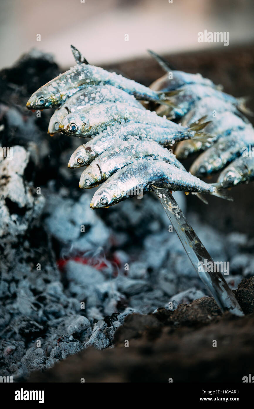 Espetos Sardines préparation. Espetos - broche avec des sardines dans un incendie. Cuisine espagnole. Banque D'Images