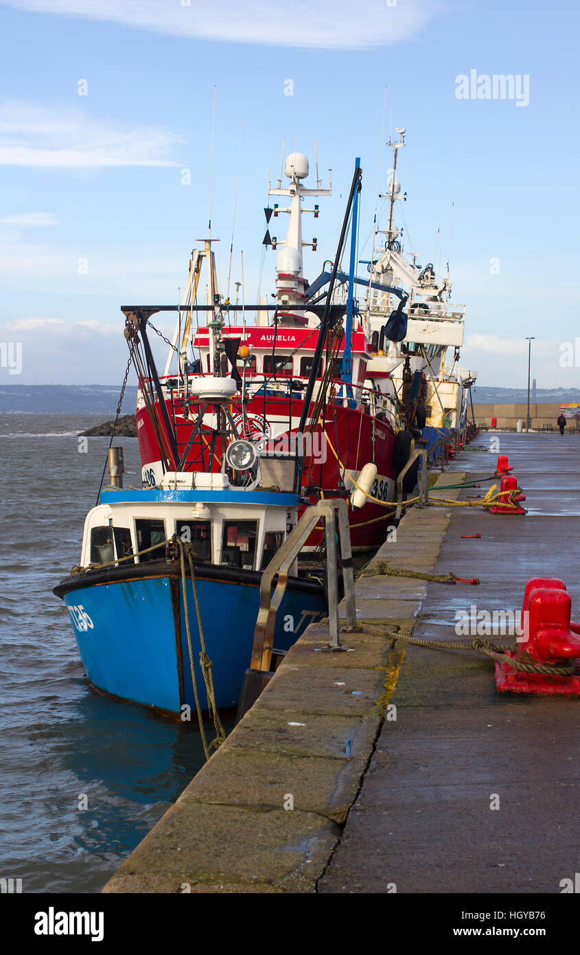 Les chalutiers amarrés à quai dans l'Eisenhower petit port à Bangor Northern Ireland à l'abri de leur une féroce tempête en mer d'Irlande Banque D'Images