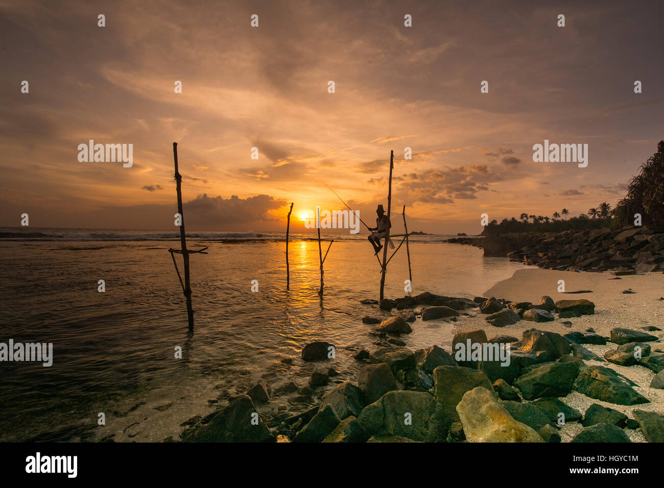Pêcheurs sur pilotis traditionnelle du Sri Lanka Banque D'Images