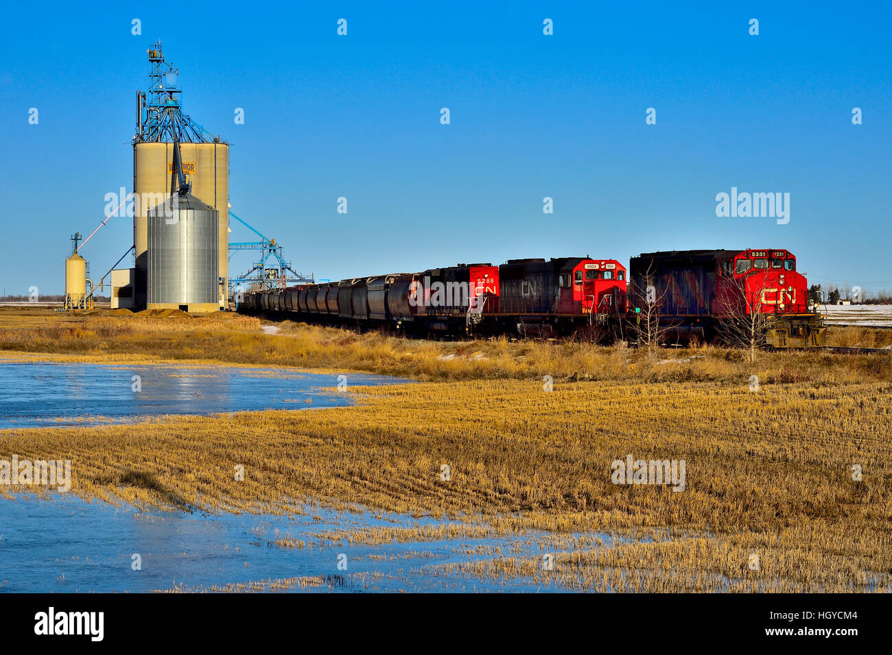 Un train de marchandises du Canadien National loading grain de la borne du stockage du grain à Morinville, Alberta, Canada. Banque D'Images