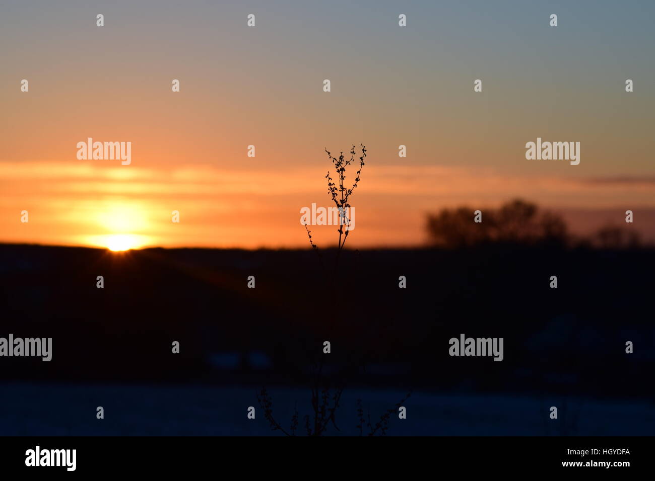 lever de soleil d’hiver Banque D'Images