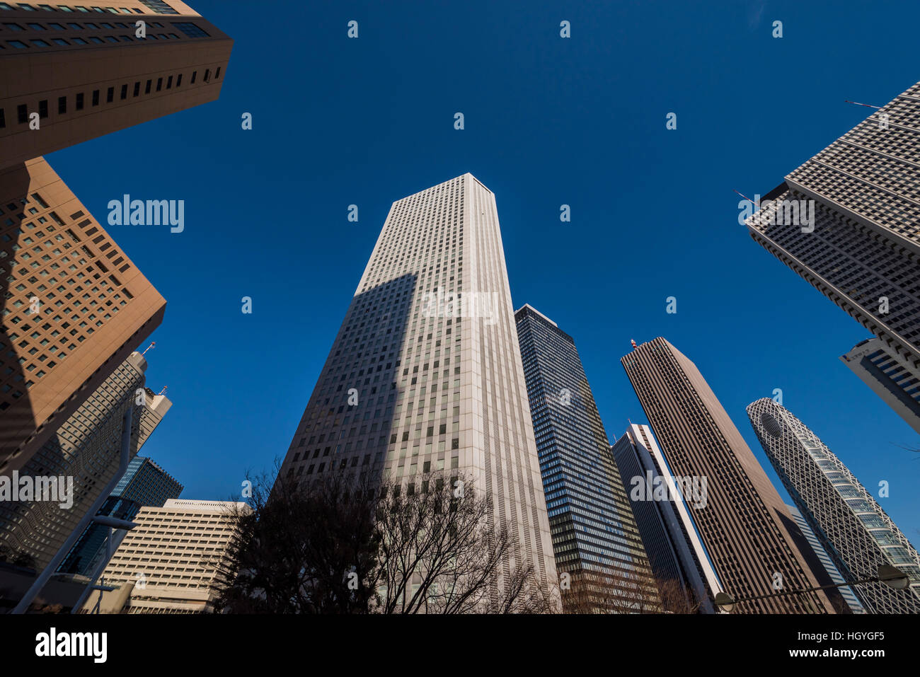 Gratte-ciel de Shinjuku, Shinjuku, Tokyo, Japon Banque D'Images