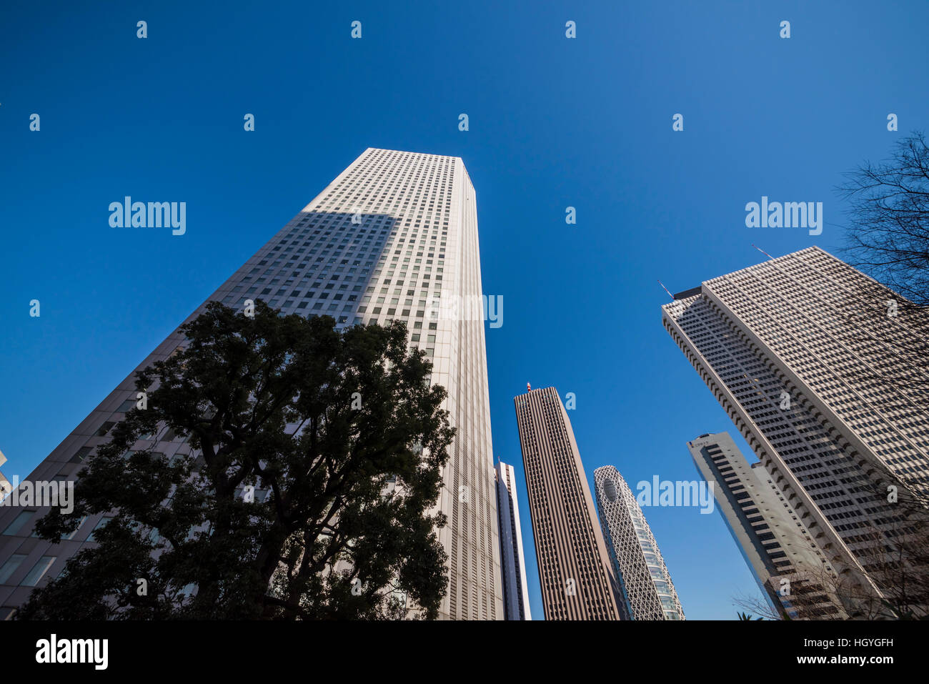 Gratte-ciel de Shinjuku, Shinjuku, Tokyo, Japon Banque D'Images