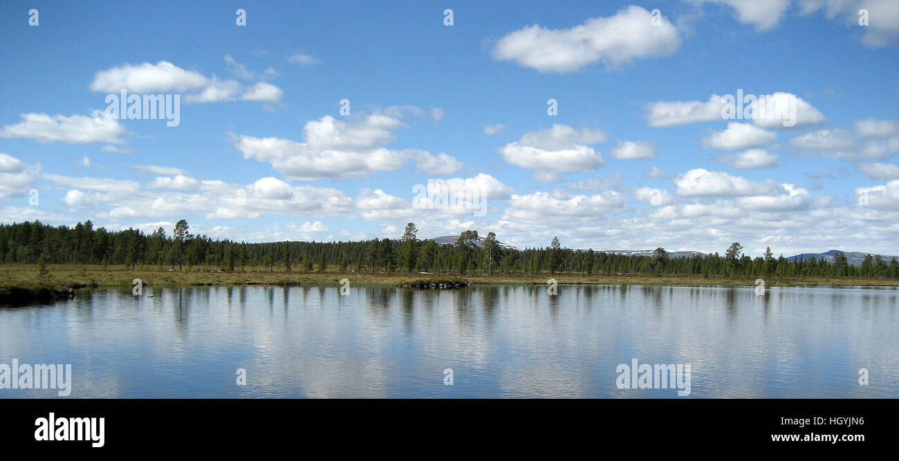 Rogens réserve naturelle, Tännäs Härjedalen, Suède, Banque D'Images