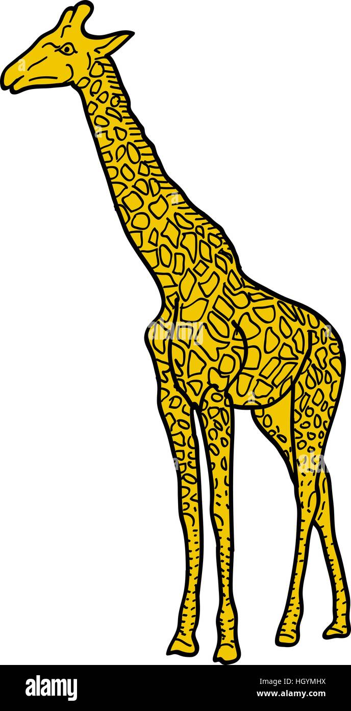 Croquis de l'Afrique haute girafe sur fond blanc. Vector illustration. Illustration de Vecteur