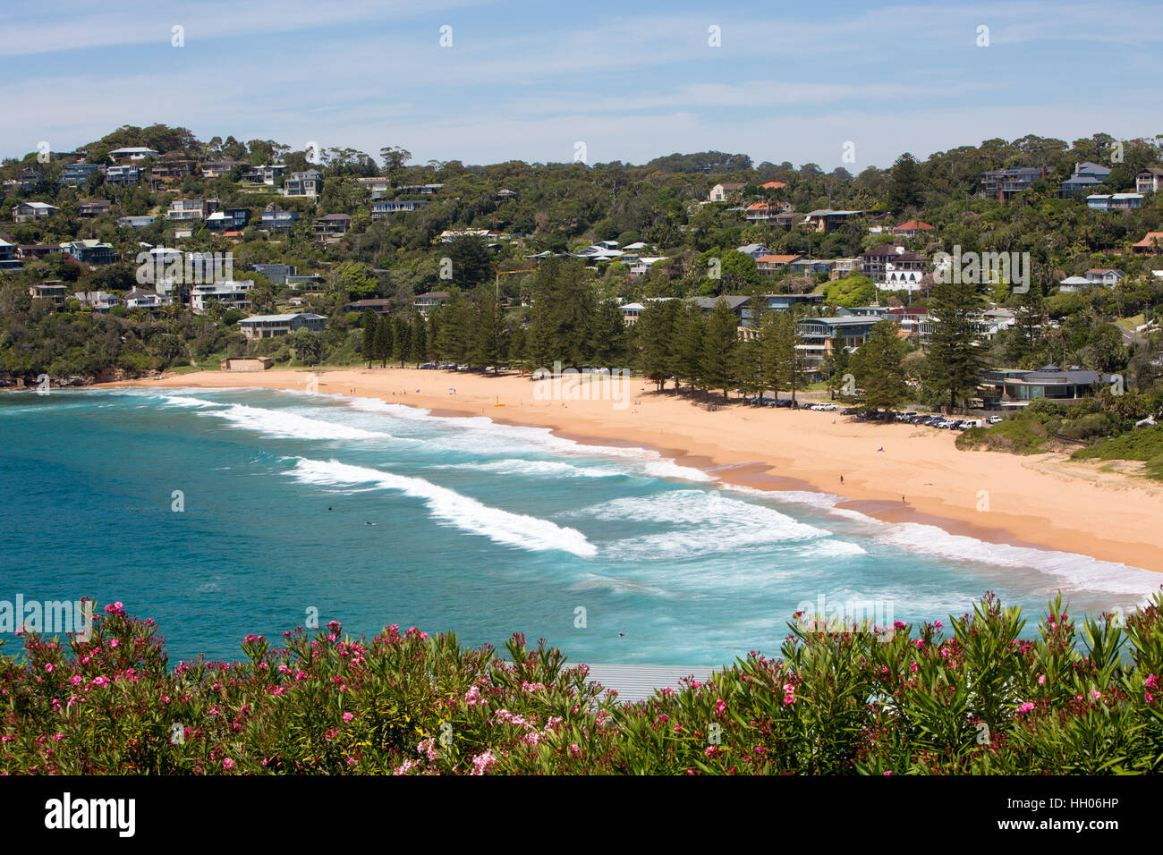 Vue aérienne de Whale Beach, l'une des célèbres plages du nord de Sydney sur la côte est de la Nouvelle-Galles du Sud, Australie Banque D'Images