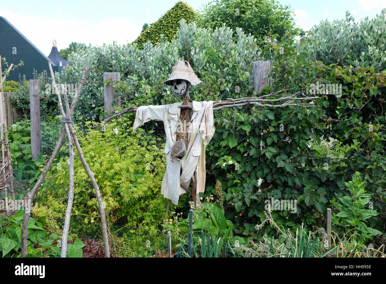 Un épouvantail dans un jardin. Banque D'Images