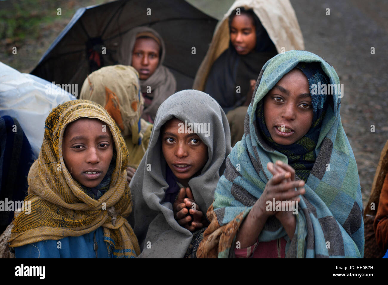 Parc national des montagnes du Simien, région d'Amhara, au nord de l'Ethiopie. Plusieurs enfants posent à côté du Lodge du Simien. Le parc national des montagnes du Simien le j Banque D'Images