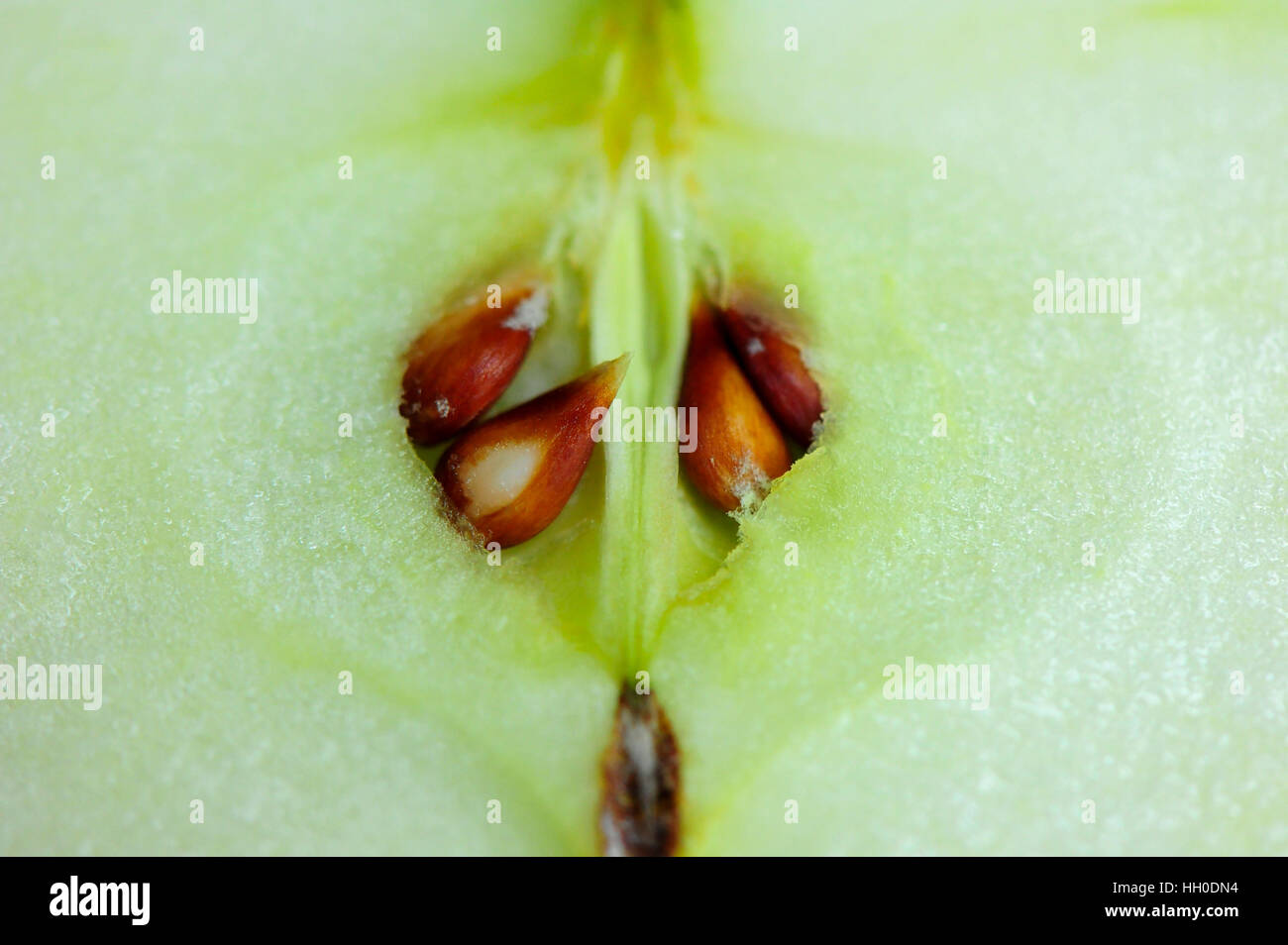 Close up de pomme verte avec des graines Banque D'Images
