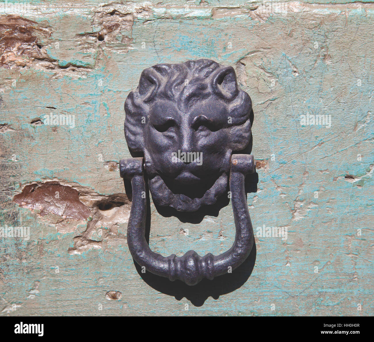 Doorknocker tête de lion sur la vieille porte en bois. Banque D'Images