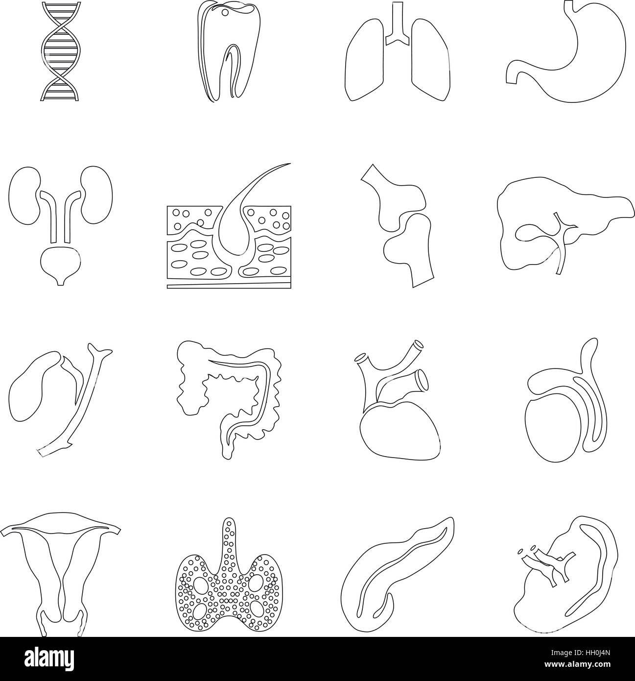 Les organes internes icons set style du contour, Illustration de Vecteur