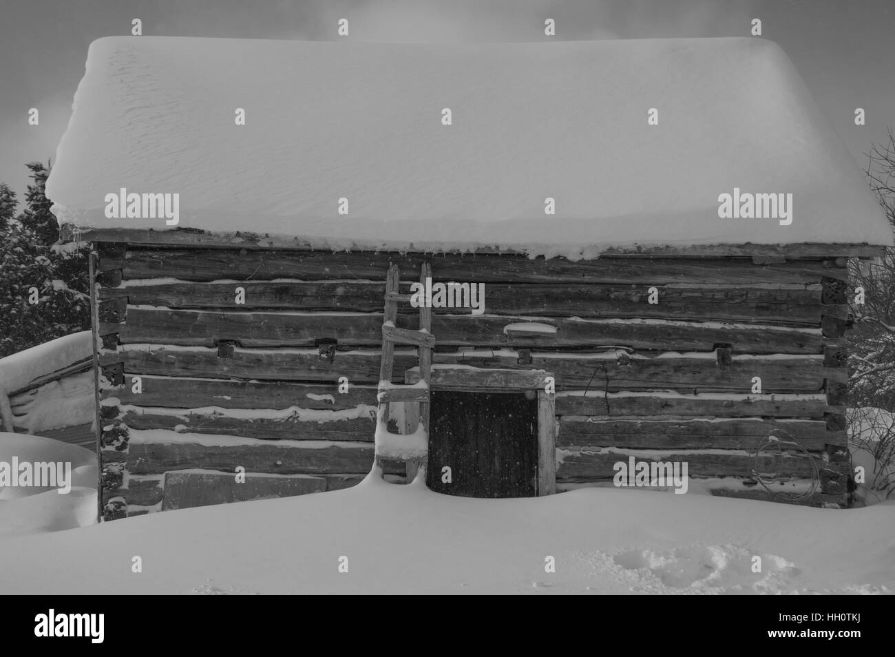 Petits flocons cette tache noir et blanc hiver libre ou une cabane en milieu rural dans une ferme d'interdiction. La neige sur le toit et sur le terrain Banque D'Images