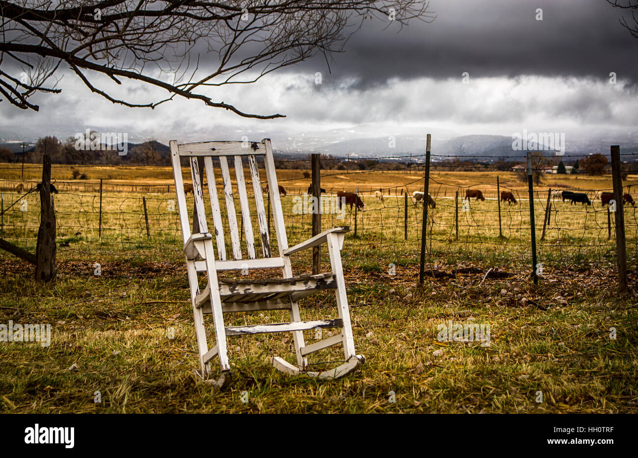 Une vieille chaise à bascule patiné à l'extérieur assis seul près d'une ferme pâturage avec des bovins dans l'arrière-plan. Banque D'Images