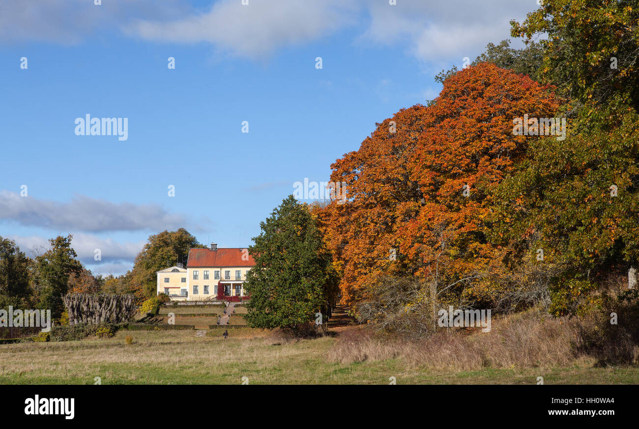 ROSLAGEN, Suède le 10 octobre 2016. Avis de feuilles colorées dans les arbres le long d'une succession. Park à gauche. Usage éditorial. Banque D'Images