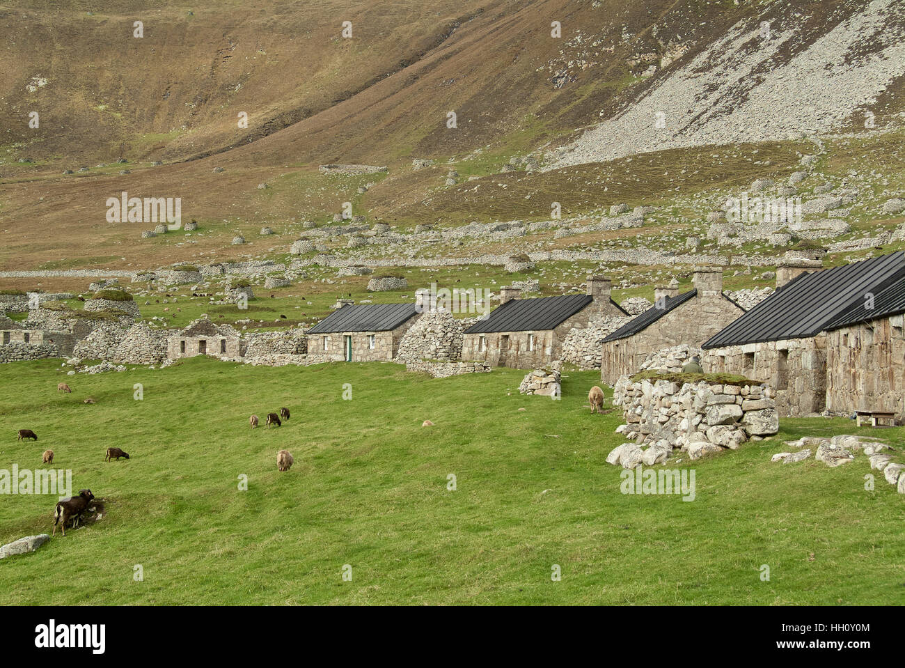 Hirta village, St Kilda, Hébrides extérieures, en Écosse, Royaume-Uni Banque D'Images