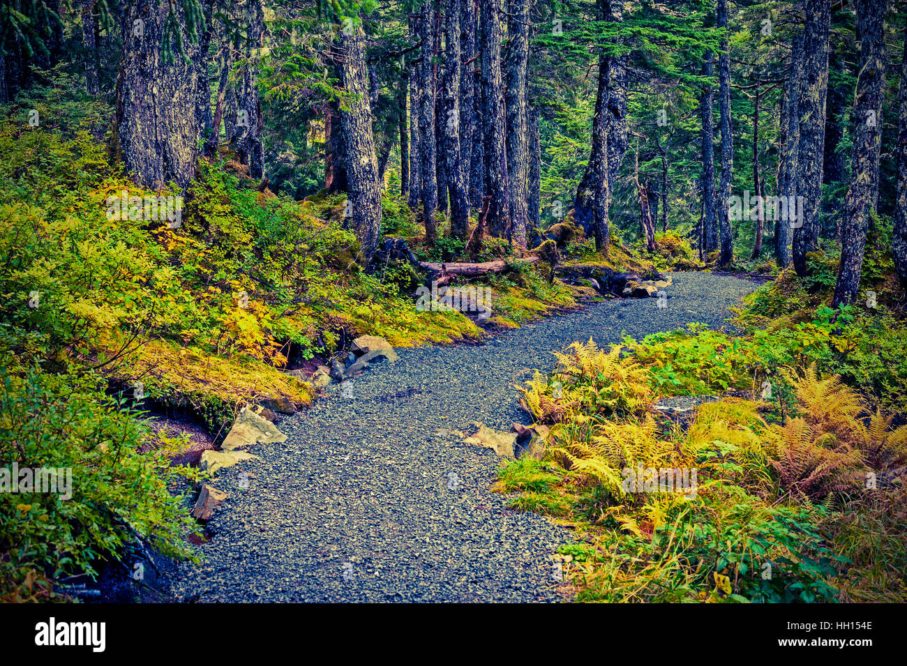 Sentier menant au sommet de la montagne du port de l'aire de stationnement, Sitka, Alaska, USA. Banque D'Images