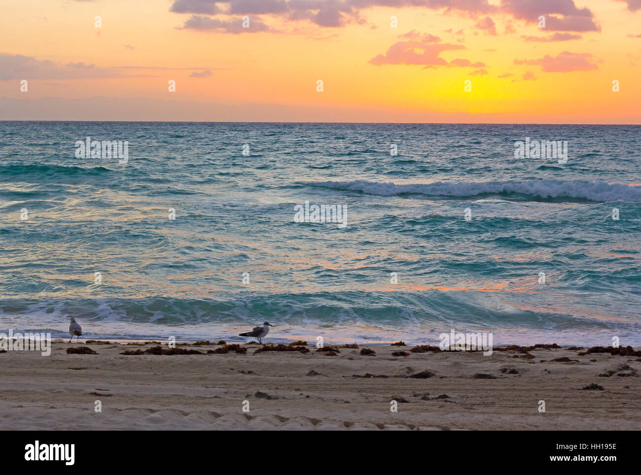 Lever du soleil sur l'océan de Miami Beach. Banque D'Images