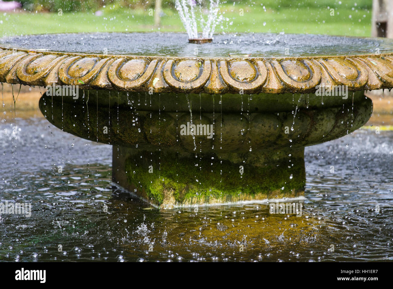 Détail d'un étang circulaire avec une fontaine dans le Jardin botanique de l'université, Oxford, Angleterre. Banque D'Images