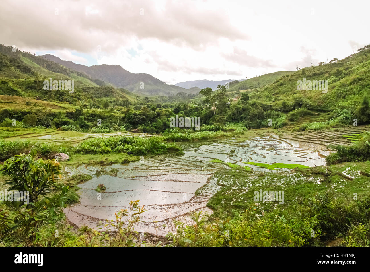Paysage naturel de Madagascar en affiches – Créations