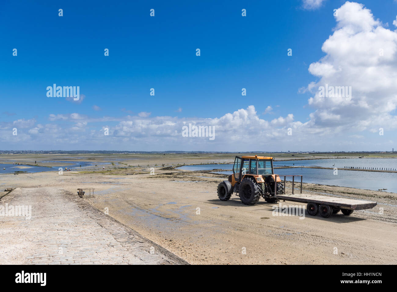 Le grand Traict, marée basse, Le Croisic, Bretagne, France Photo Stock -  Alamy