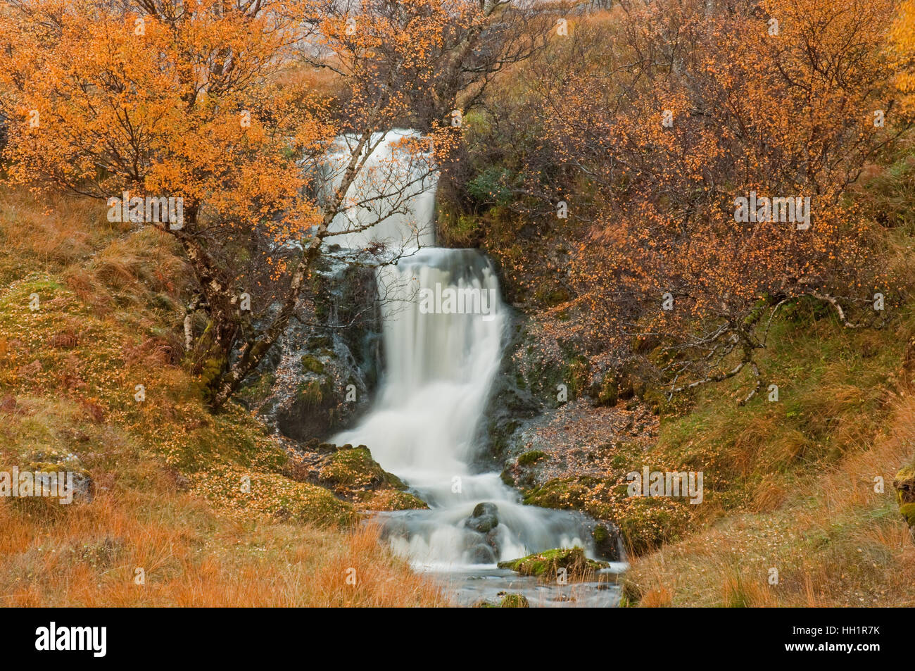 Allt a' Chalda Beag sur Loch Assynt Banque D'Images