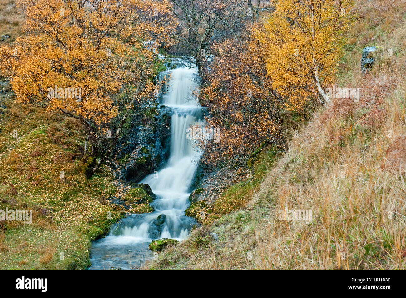 Allt a' Chalda Beag sur Loch Assynt Banque D'Images