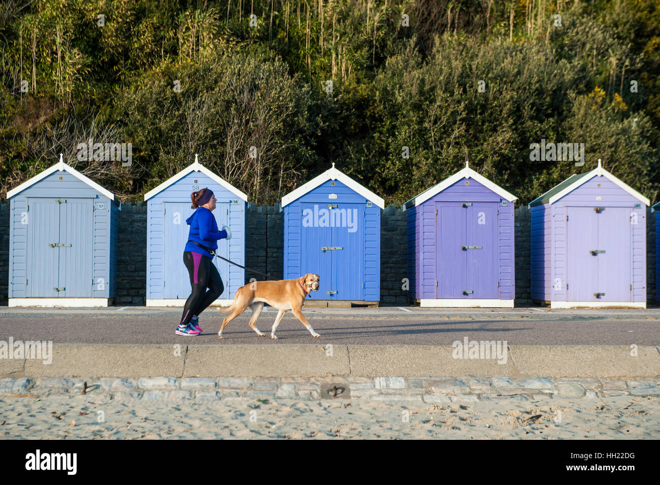 Une femme court le long de la plage avec son gros chien Banque D'Images